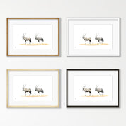 Gemsbok Pair - GBK2