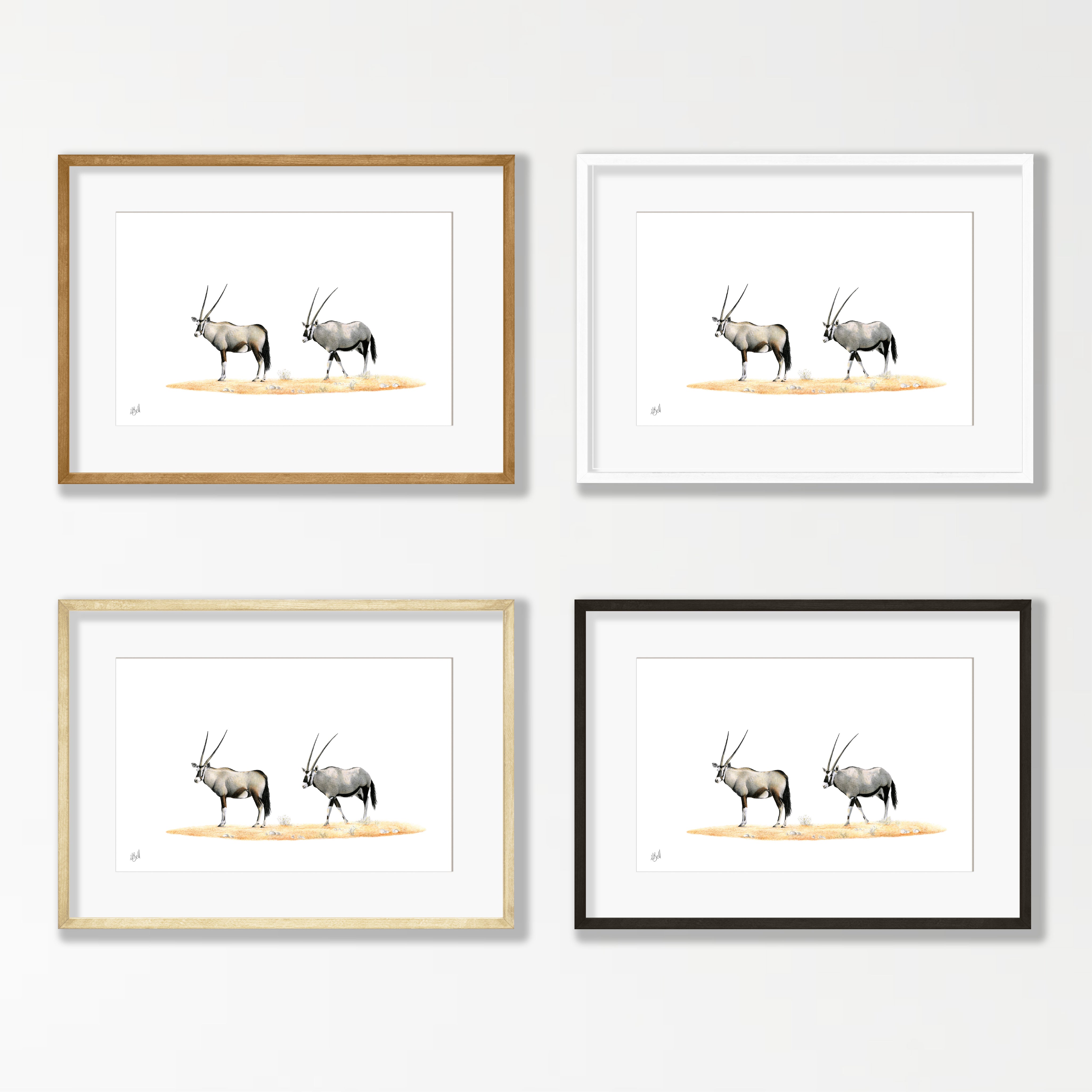 Gemsbok Pair - GBK2