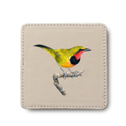 Gorgeous Bush Shrike Bird leather coaster by South African wildlife artist Matthew Bell