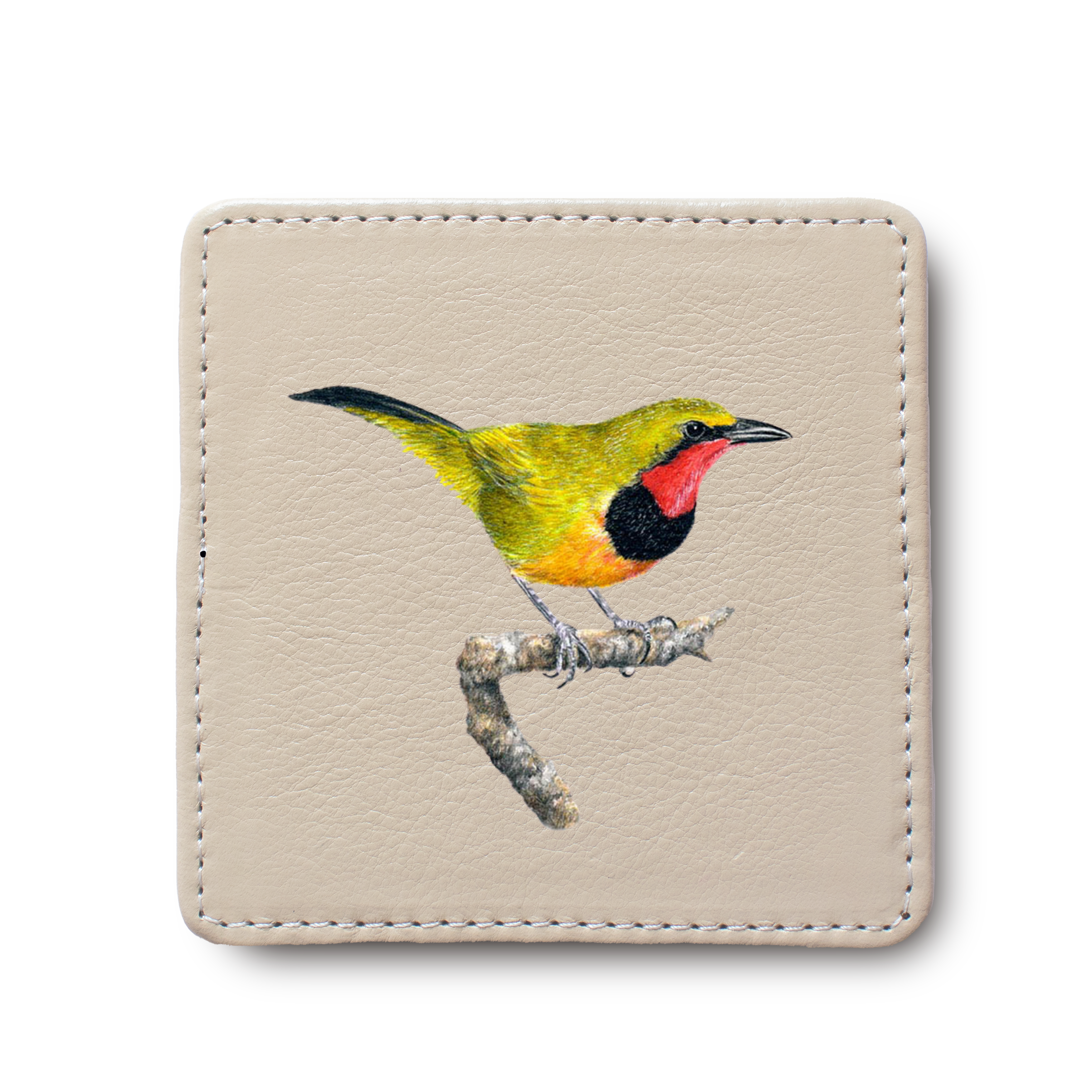 Gorgeous Bush Shrike Bird leather coaster by South African wildlife artist Matthew Bell