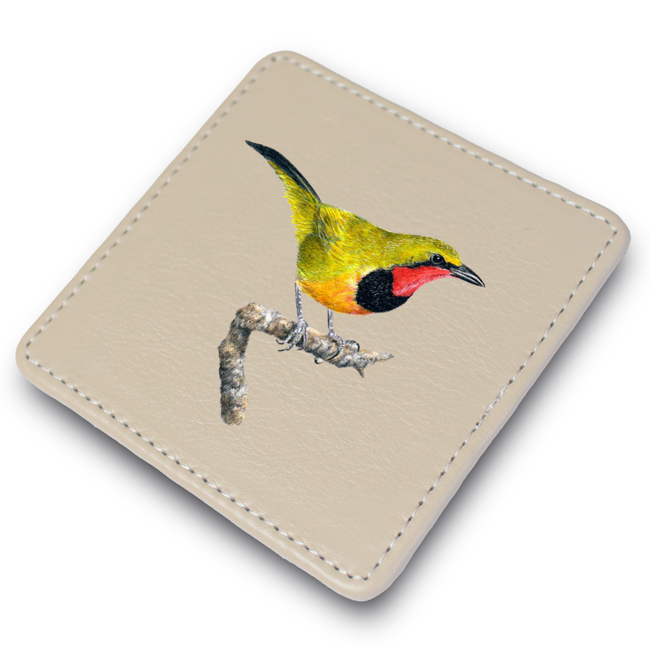 Gorgeous Bush Shrike Leather Coaster