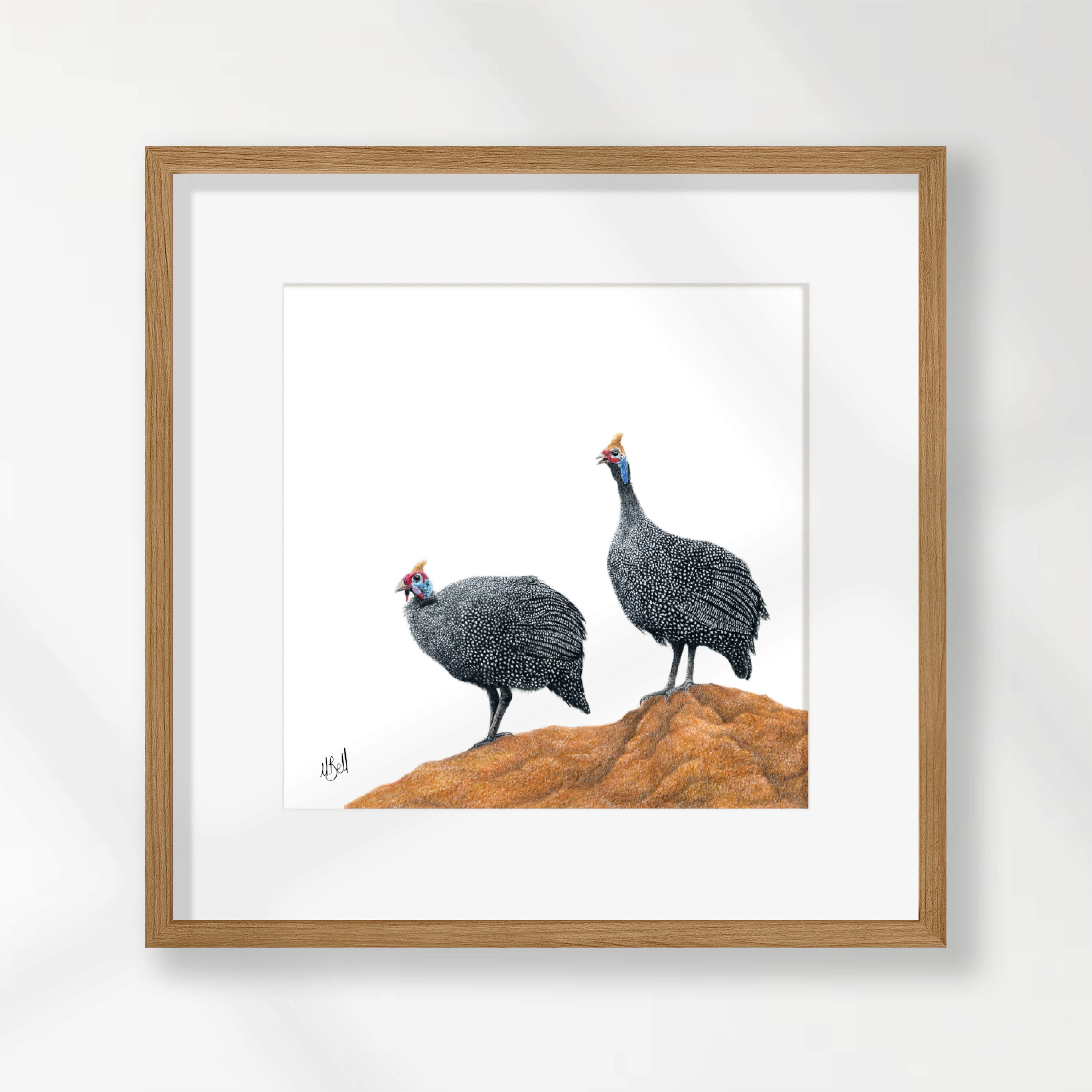 Guinea Fowl - GFL1