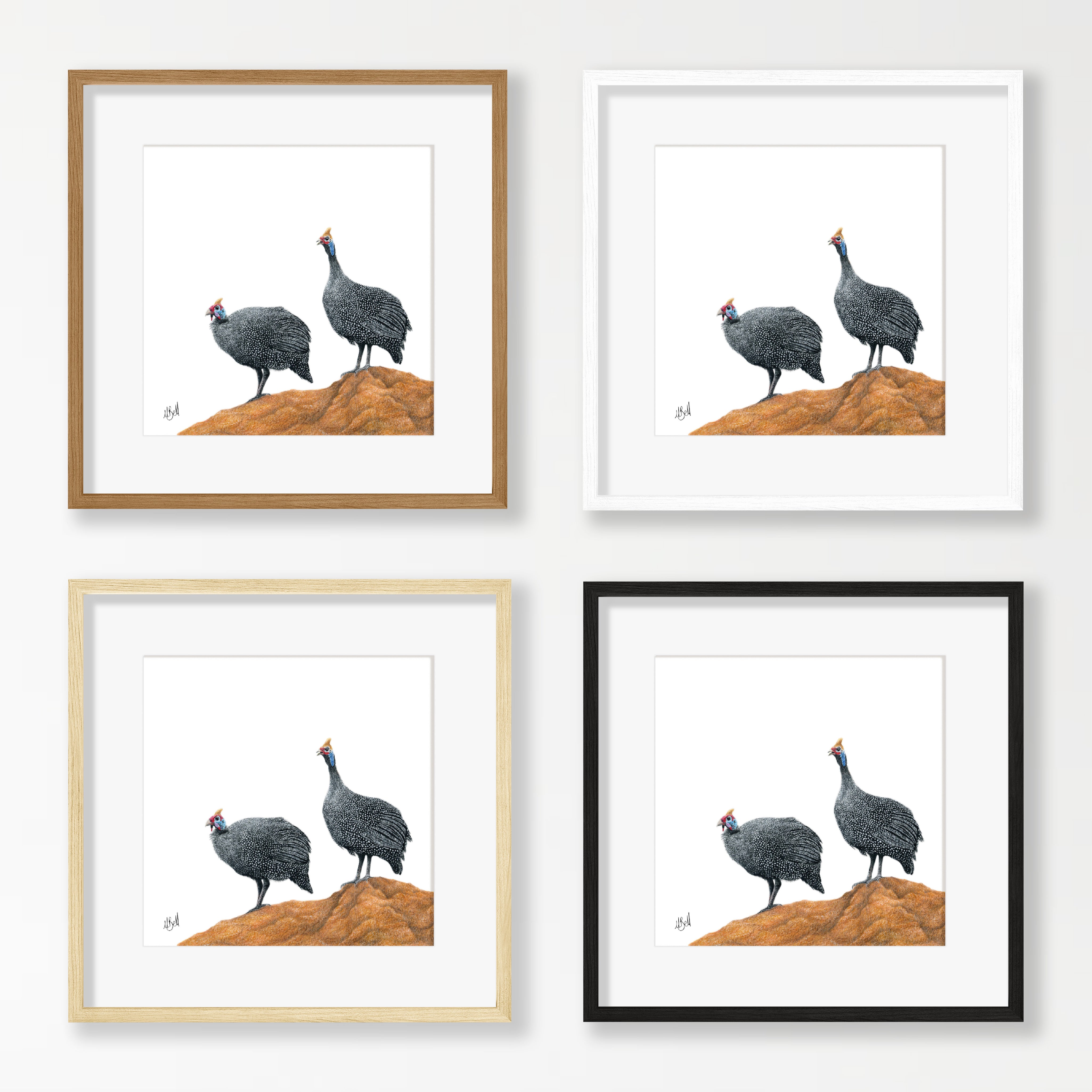 Guinea Fowl - GFL1