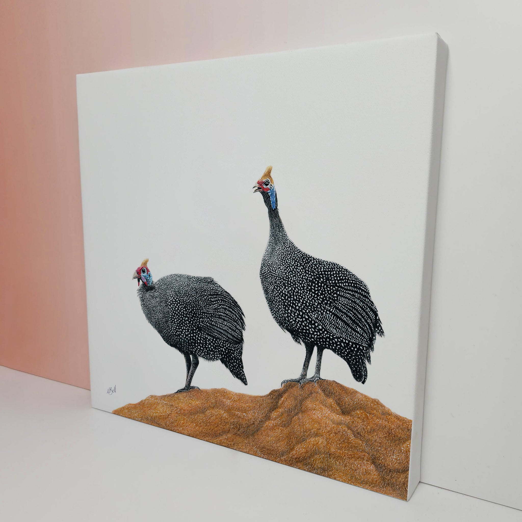 Guinea fowl canvas print stretched on wooden frame by wildlife artist Matthew Bell