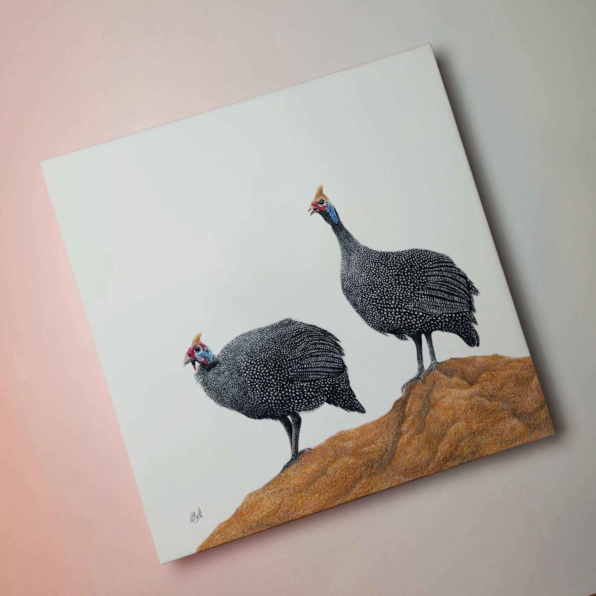 Guinea fowl canvas print stretched on wooden frame by wildlife artist Matthew Bell