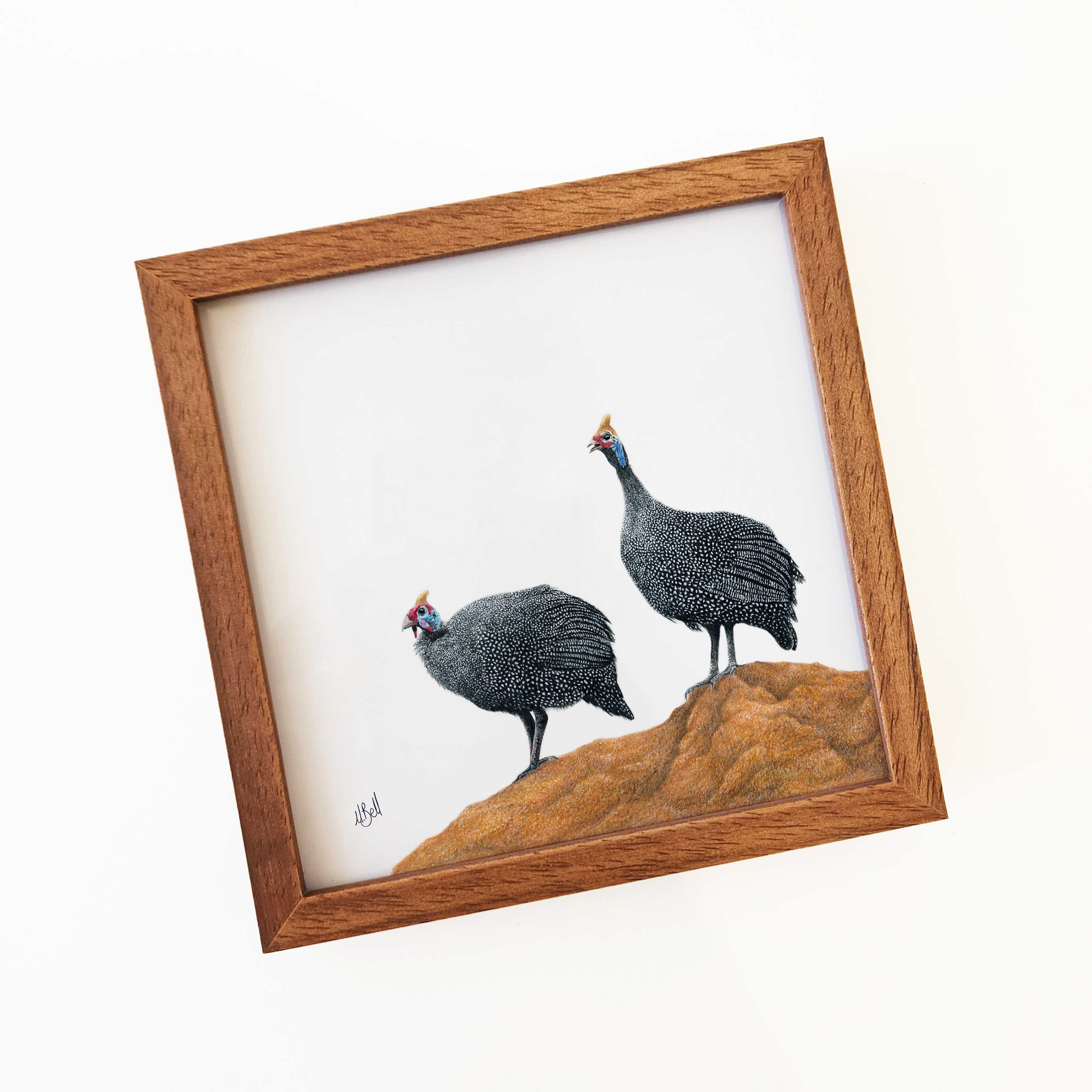 Kiaat wood framed miniature artwork of a Guinea Fowl, part of wildlife artist Matthew Bell's birds of South Africa gallery