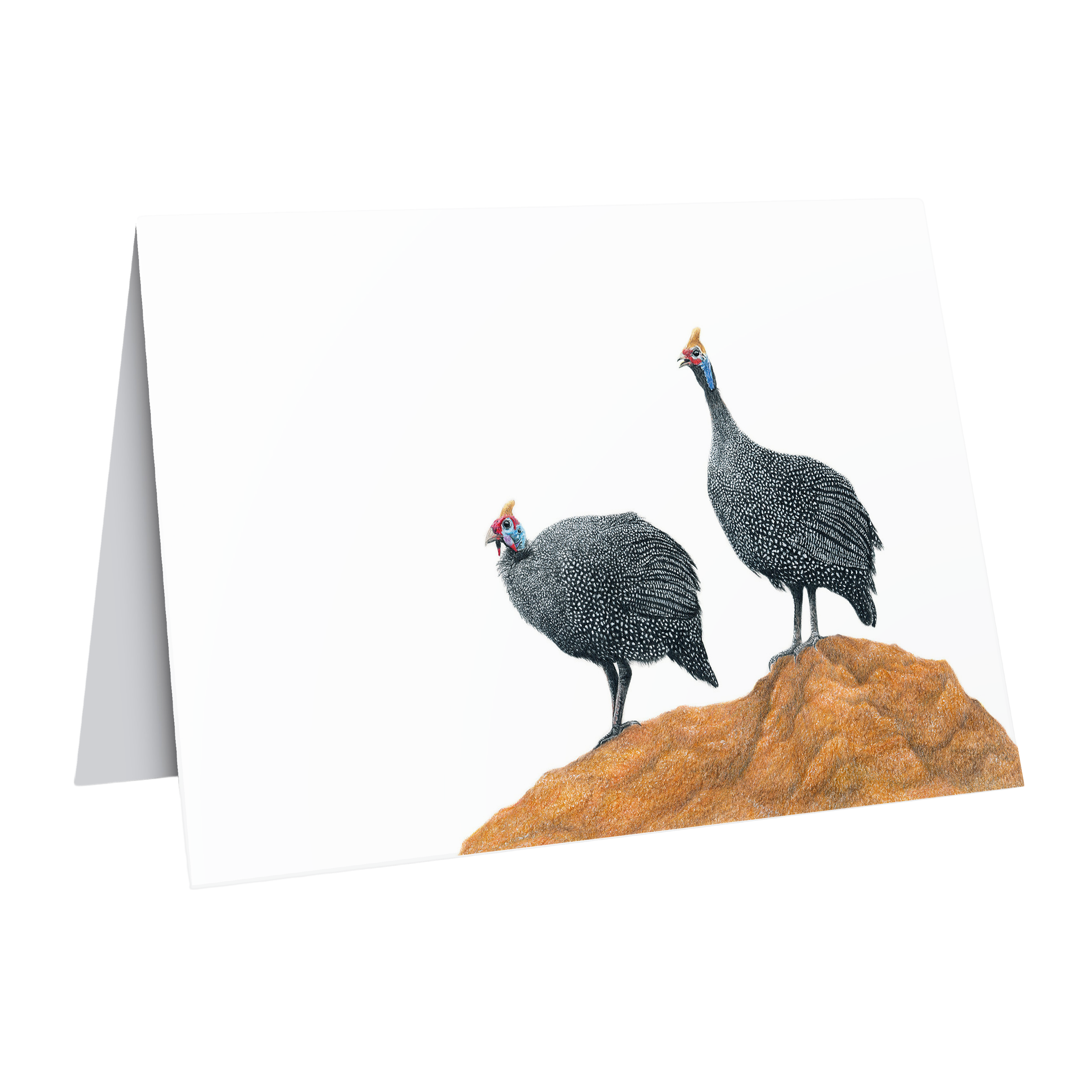 Guinea Fowl greeting card