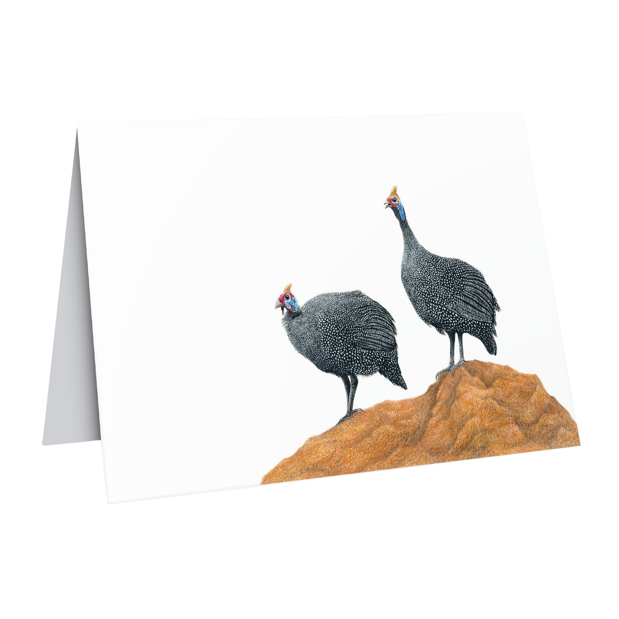 Guinea Fowl greeting card