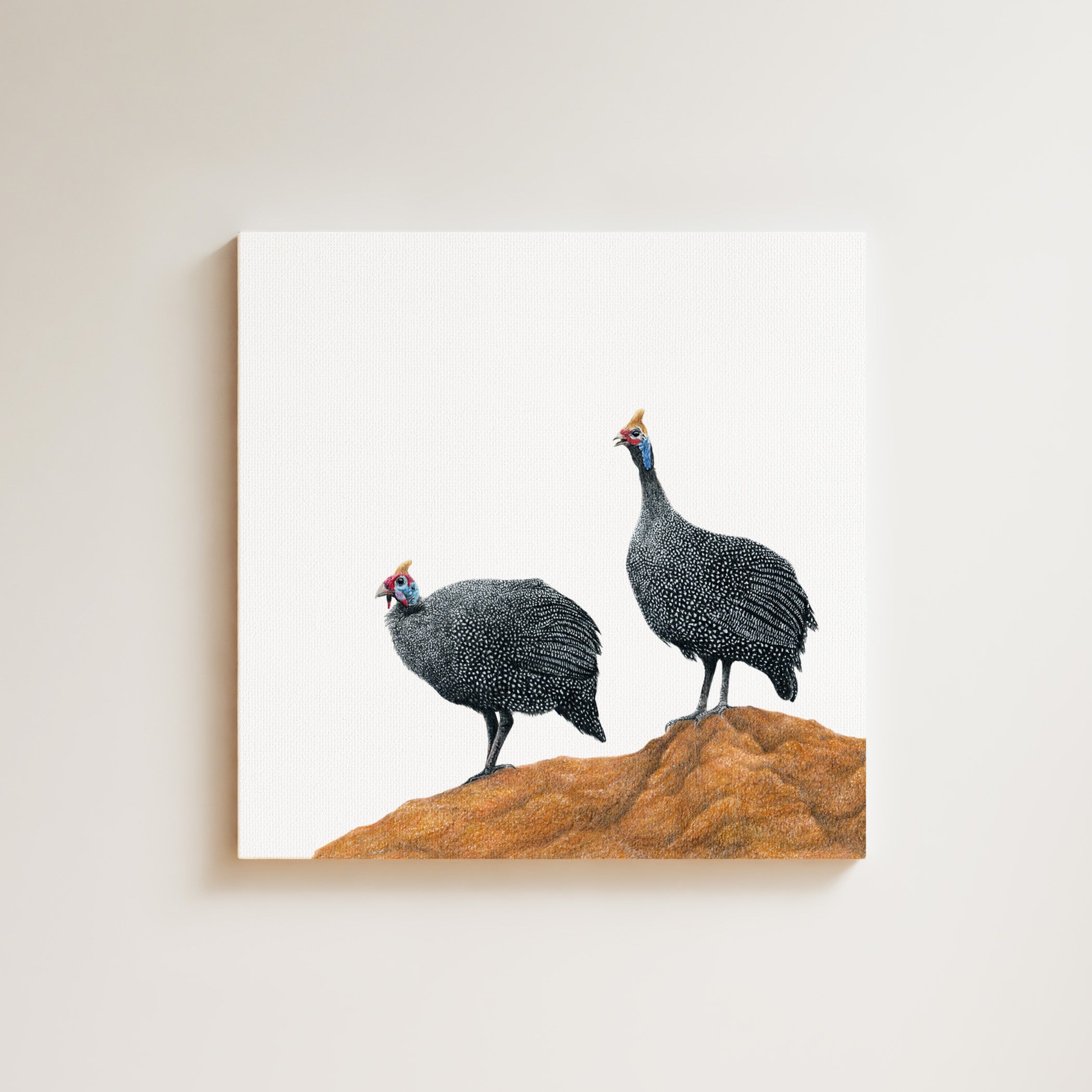 Guinea Fowl drawing on canvas by South African wildlife artist Matthew Bell