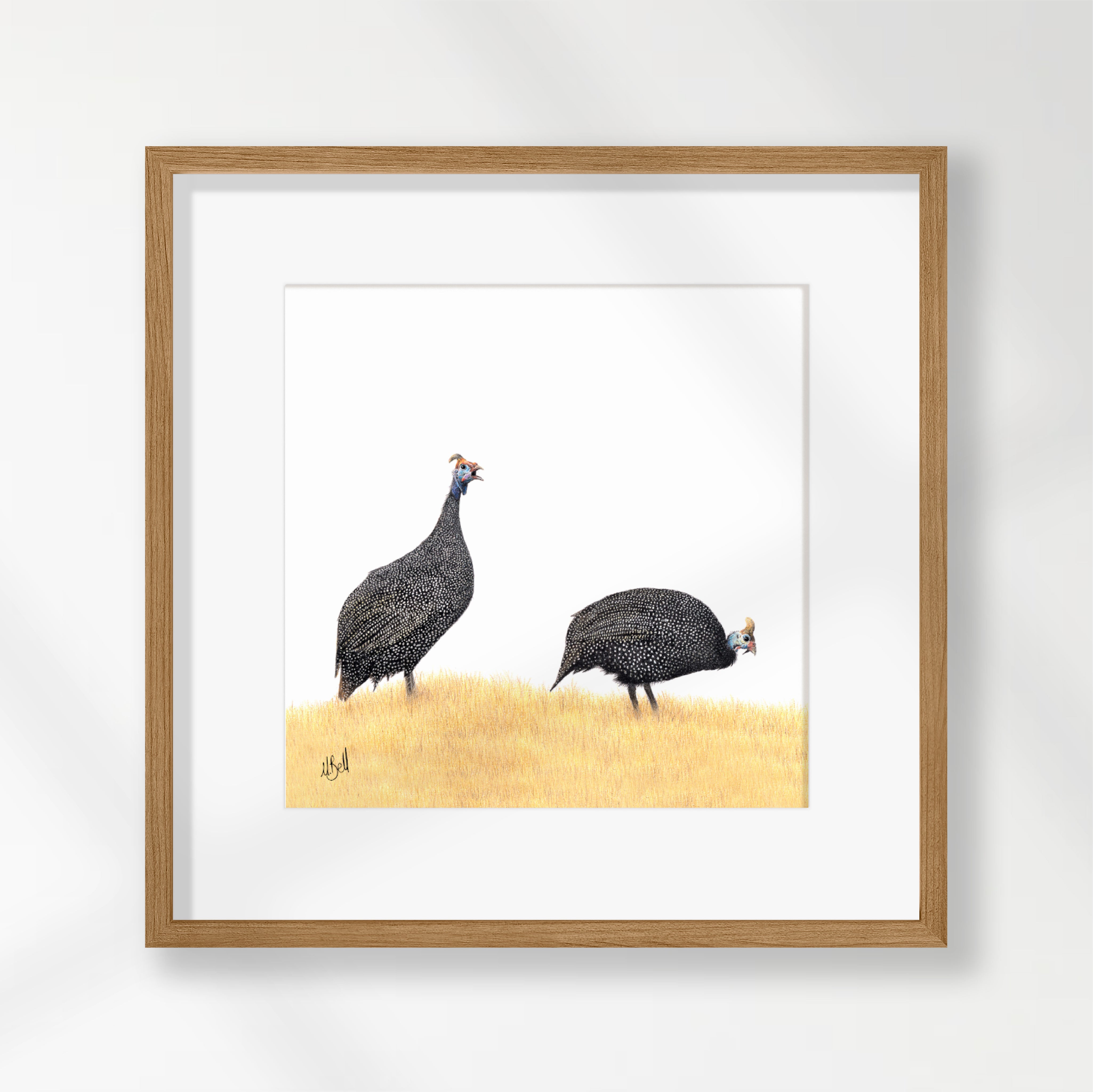Guinea Fowl - GFL2