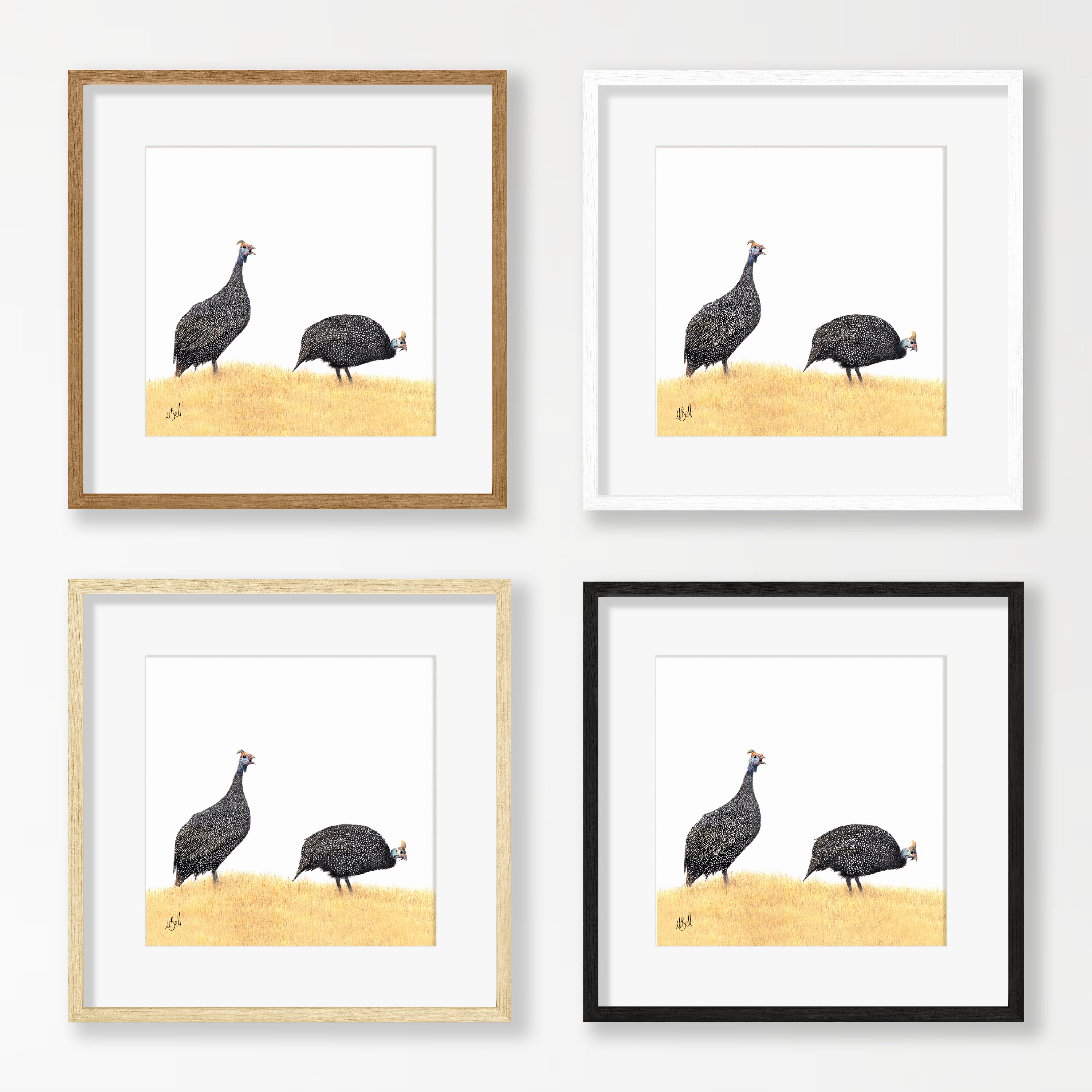 Guinea Fowl - GFL2