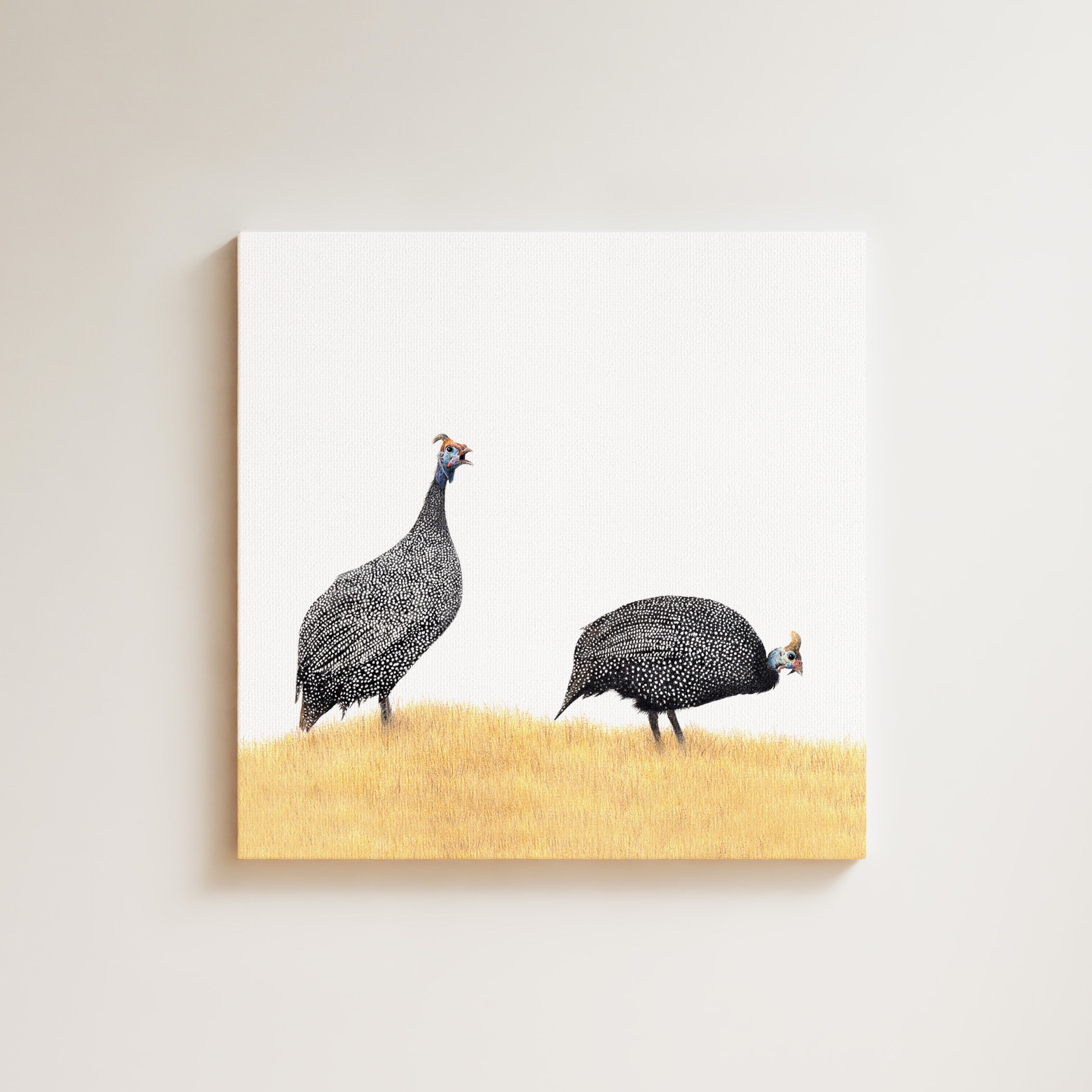 Guinea Fowl drawing on canvas by South African wildlife artist Matthew Bell