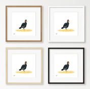Ground Hornbill - GHB1