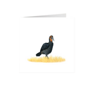 Ground Hornbill Greeting Card - GHB1