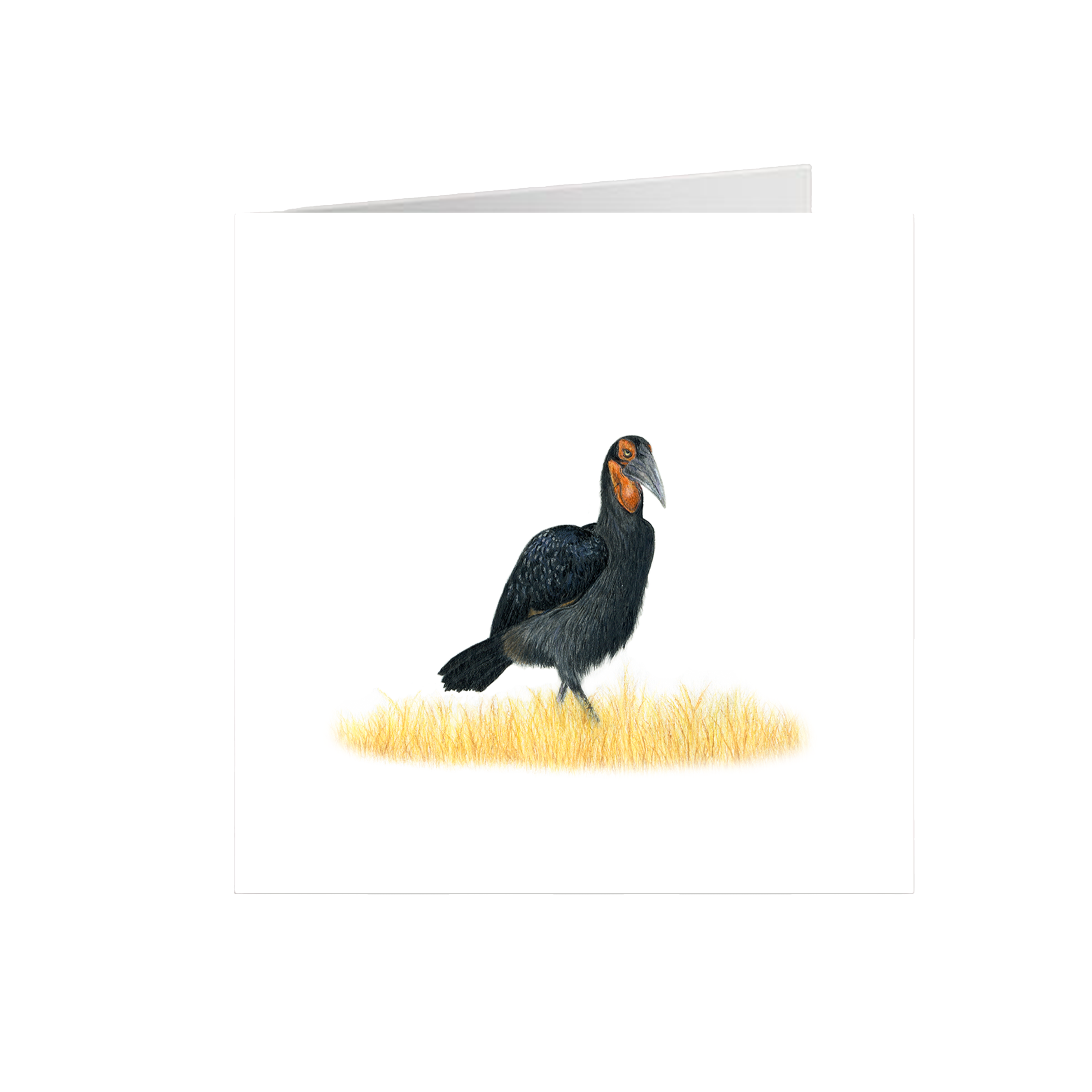 Ground Hornbill Greeting Card - GHB1