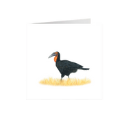 Ground Hornbill Greeting Card - GHB2