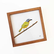 Kiaat wood framed miniature artwork of a Grey Headed Bush Shrike, part of wildlife artist Matthew Bell's birds of South Africa gallery