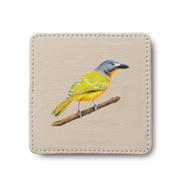 Grey Headed Bush Shrike Bird leather coaster by South African wildlife artist Matthew Bell