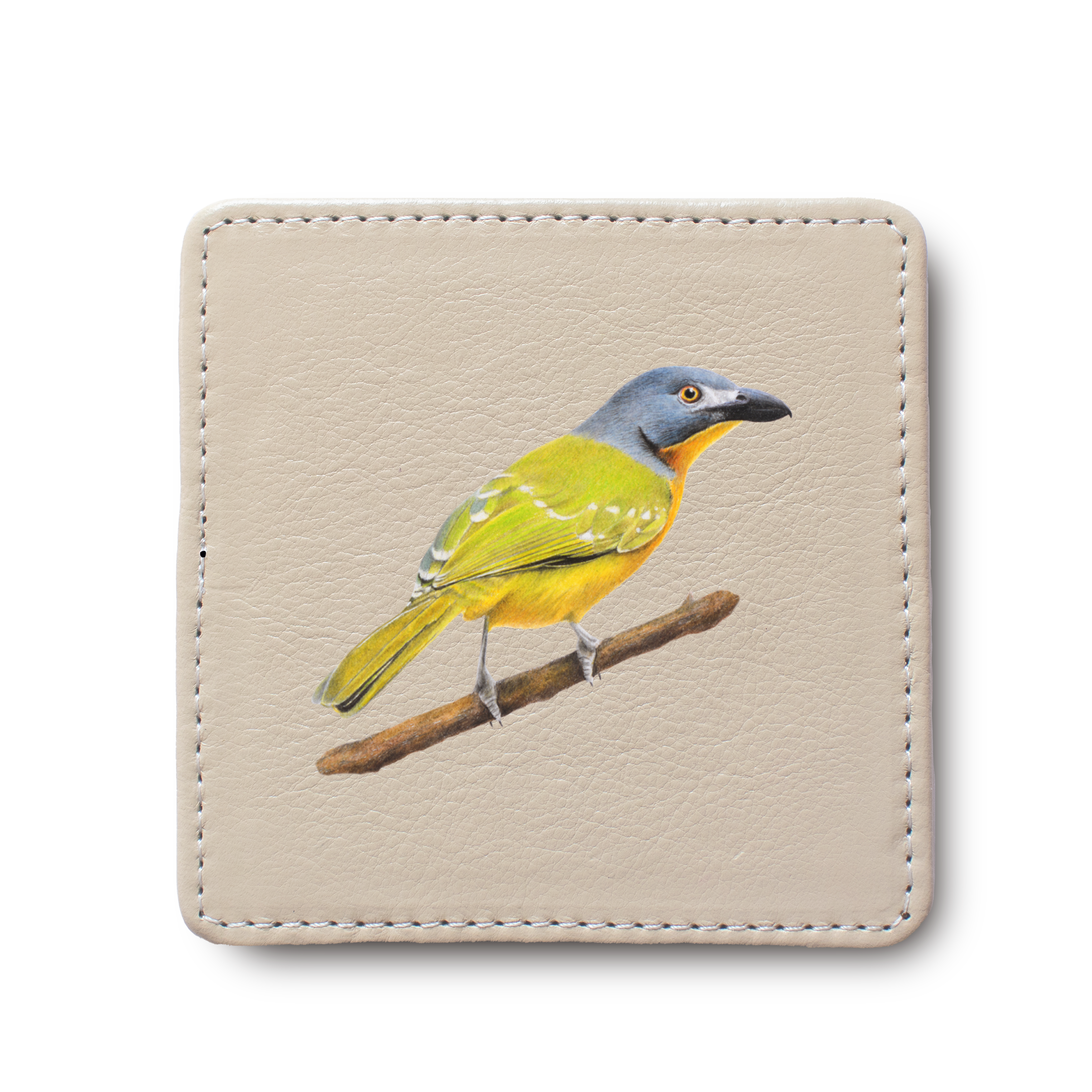 Grey Headed Bush Shrike Bird leather coaster by South African wildlife artist Matthew Bell