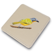 Grey Headed Bush Shrike Leather Coaster