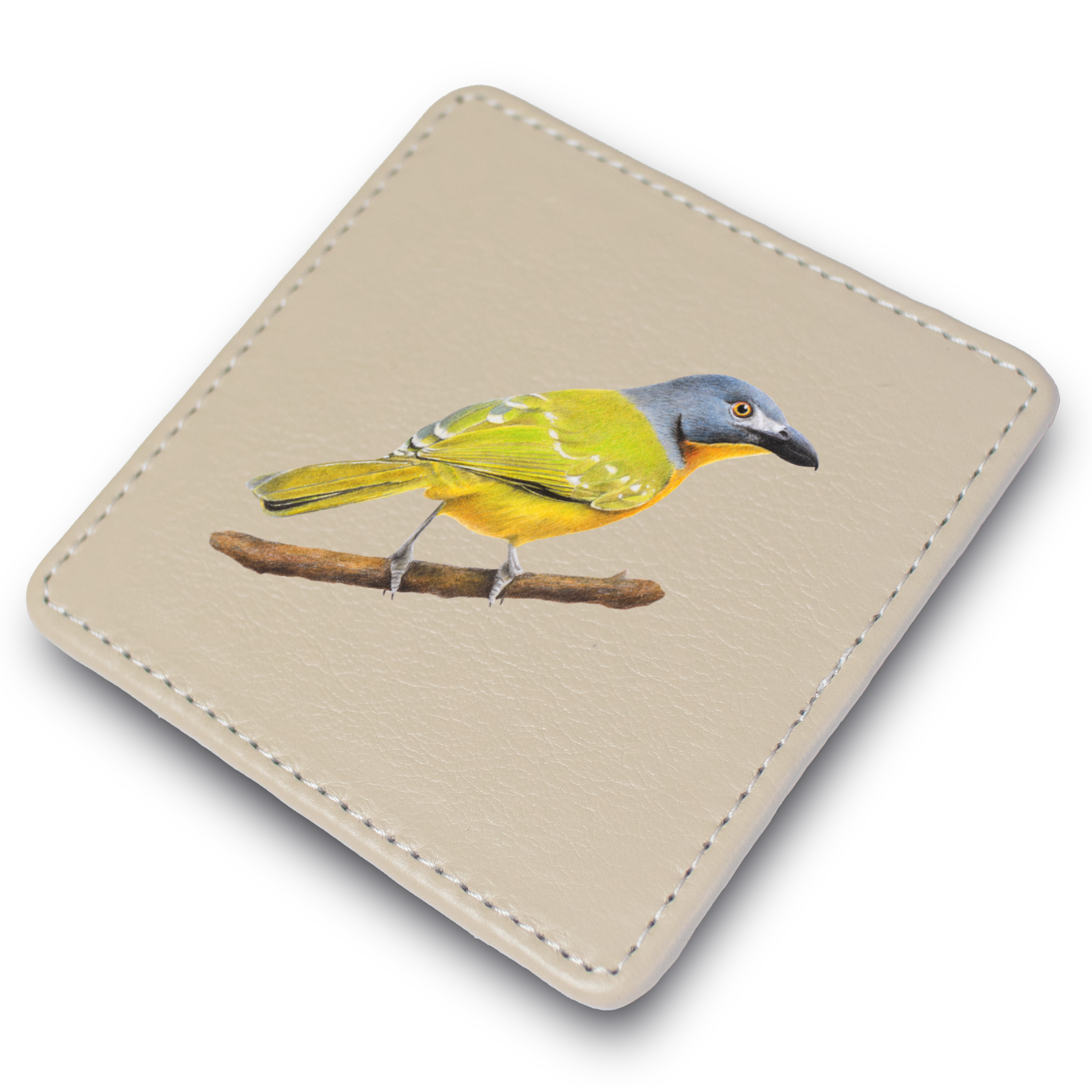 Grey Headed Bush Shrike Leather Coaster