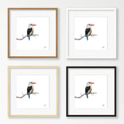 Grey Headed Kingfisher - GHK