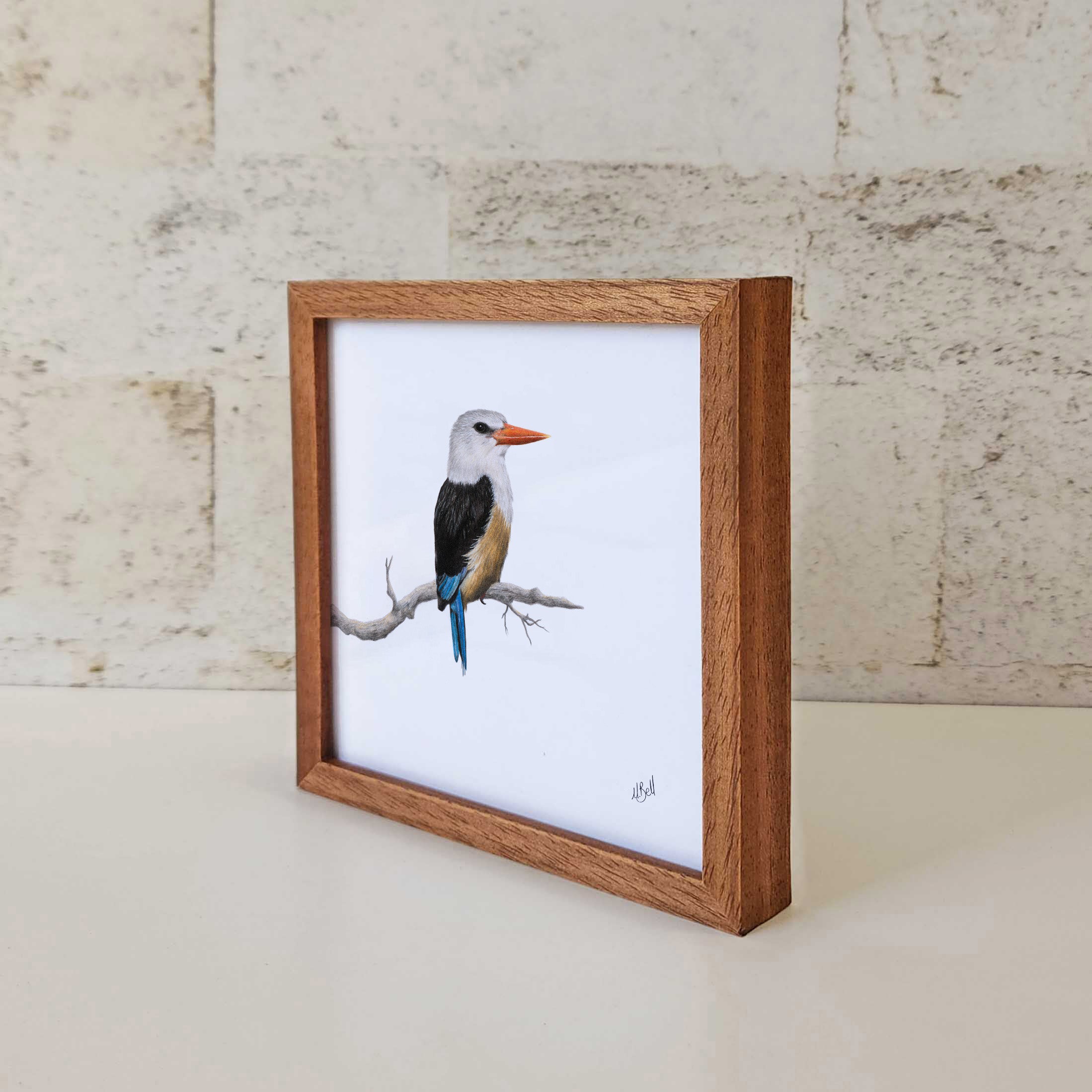 Kiaat wood framed miniature artwork of a Grey Headed Kingfisher, part of wildlife artist Matthew Bell's birds of South Africa gallery