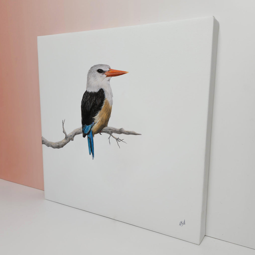 Grey Headed Kingfisher bird artwork on stretched canvas