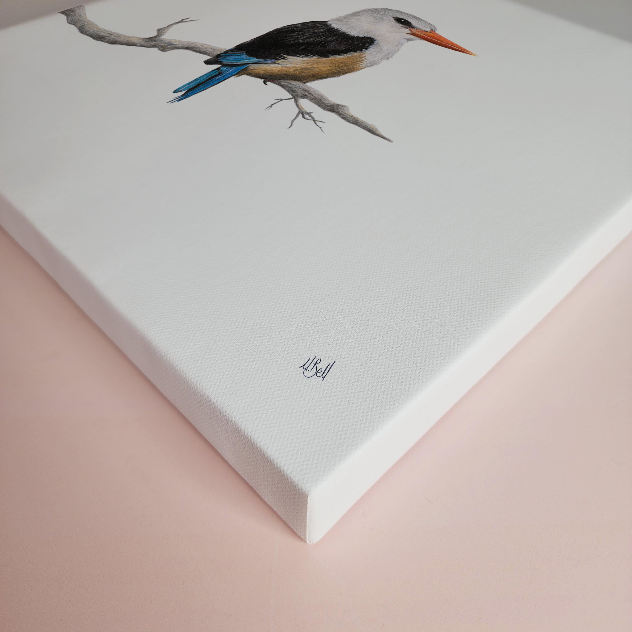 Grey Headed Kingfisher bird artwork on stretched canvas