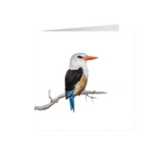 Grey Headed Kingfisher Greeting Card - GHK