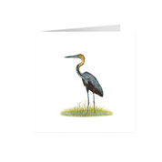 Goliath Heron Greeting Card - GH