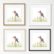 Giant Kingfisher - GKF