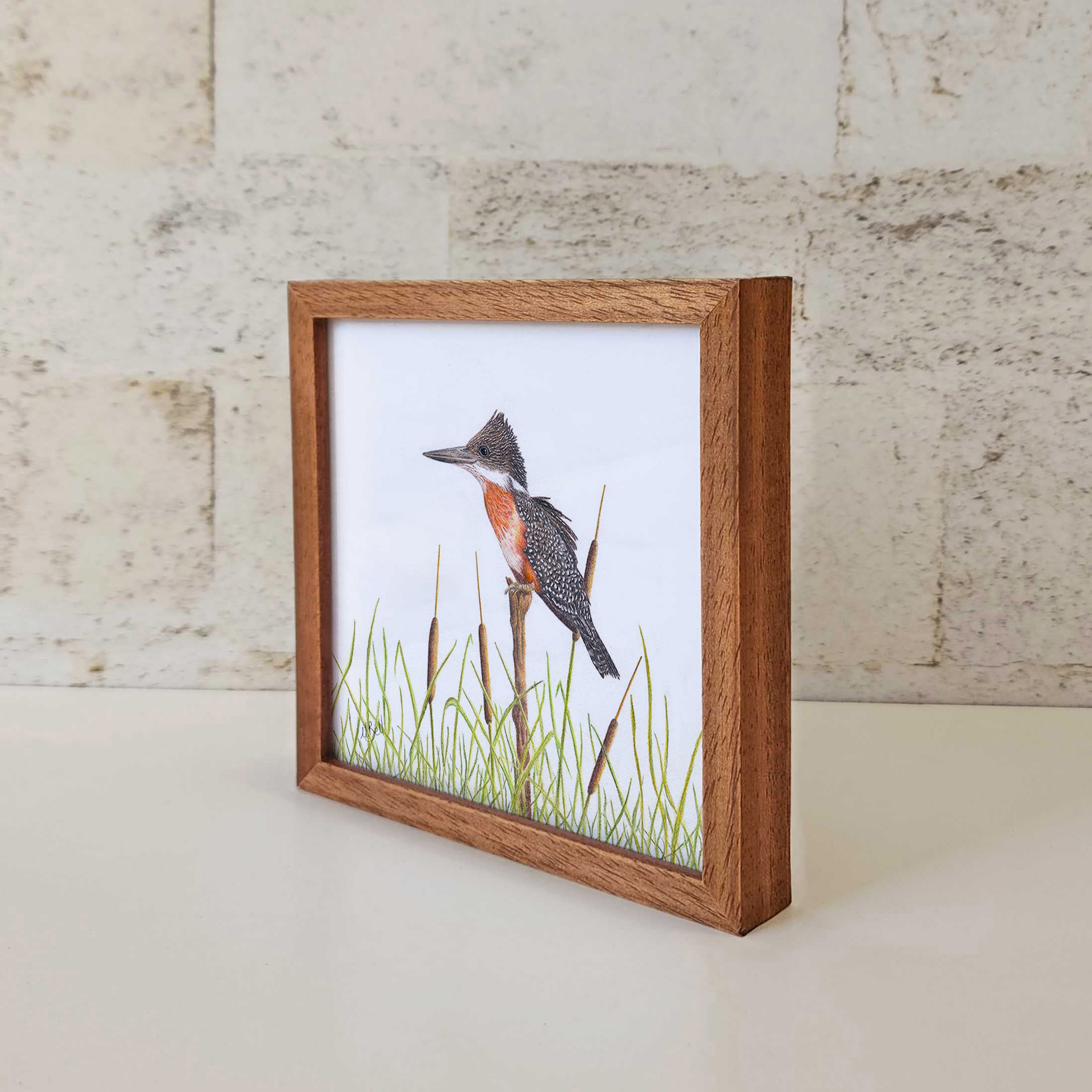 Kiaat wood framed miniature artwork of a Giant Kingfisher, part of wildlife artist Matthew Bell's birds of South Africa gallery