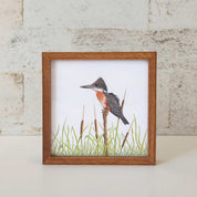 Kiaat wood framed miniature artwork of a Giant Kingfisher, part of wildlife artist Matthew Bell's birds of South Africa gallery