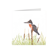 Giant Kingfisher Greeting Card - GKF