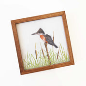 Kiaat wood framed miniature artwork of a Giant Kingfisher, part of wildlife artist Matthew Bell's birds of South Africa gallery