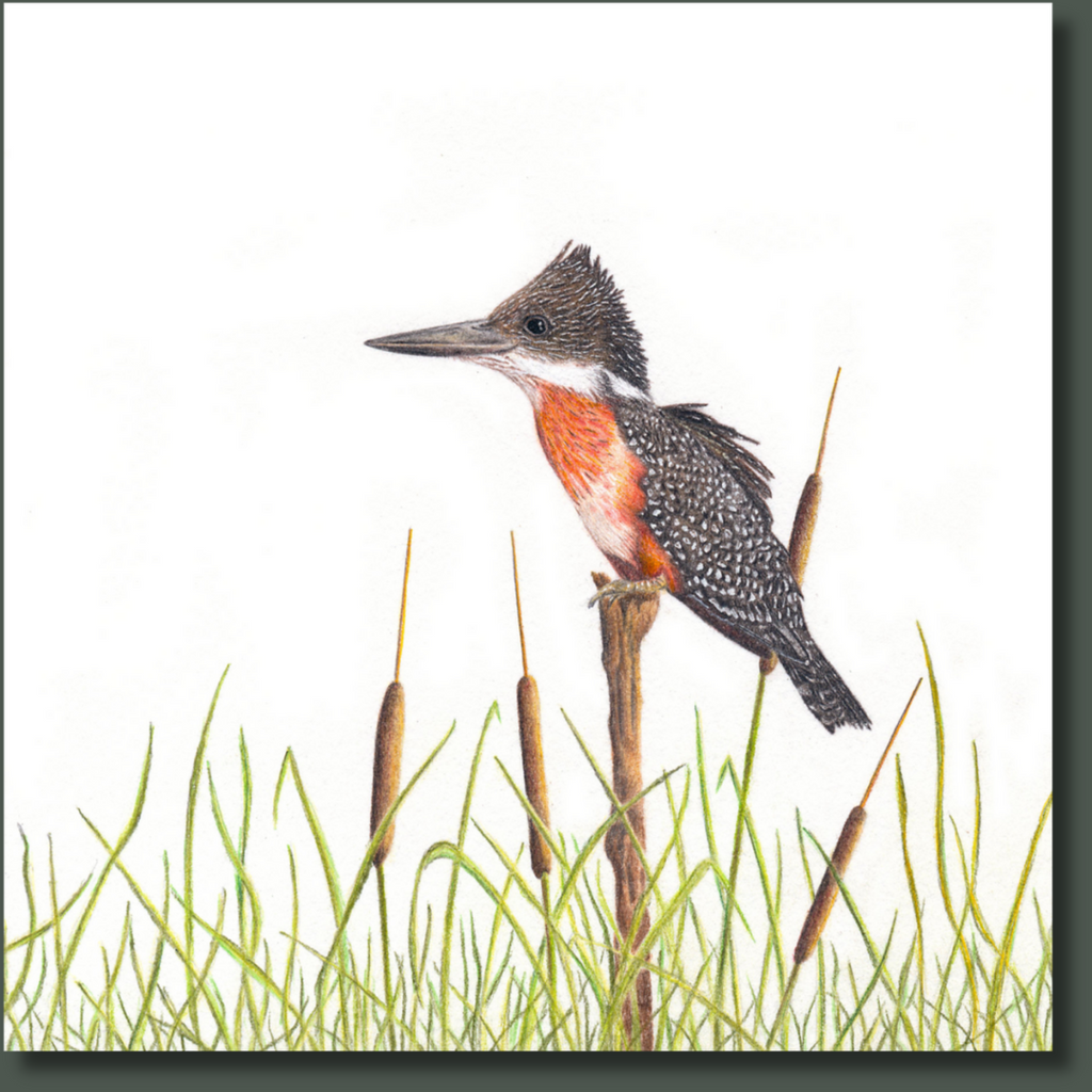 Giant Kingfisher bird artwork on canvas