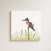 Giant Kingfisher drawing on canvas by South African wildlife artist Matthew Bell