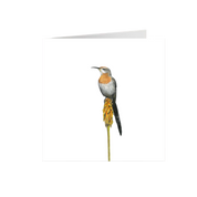 Gurney's Sugarbird Greeting Card - GNS