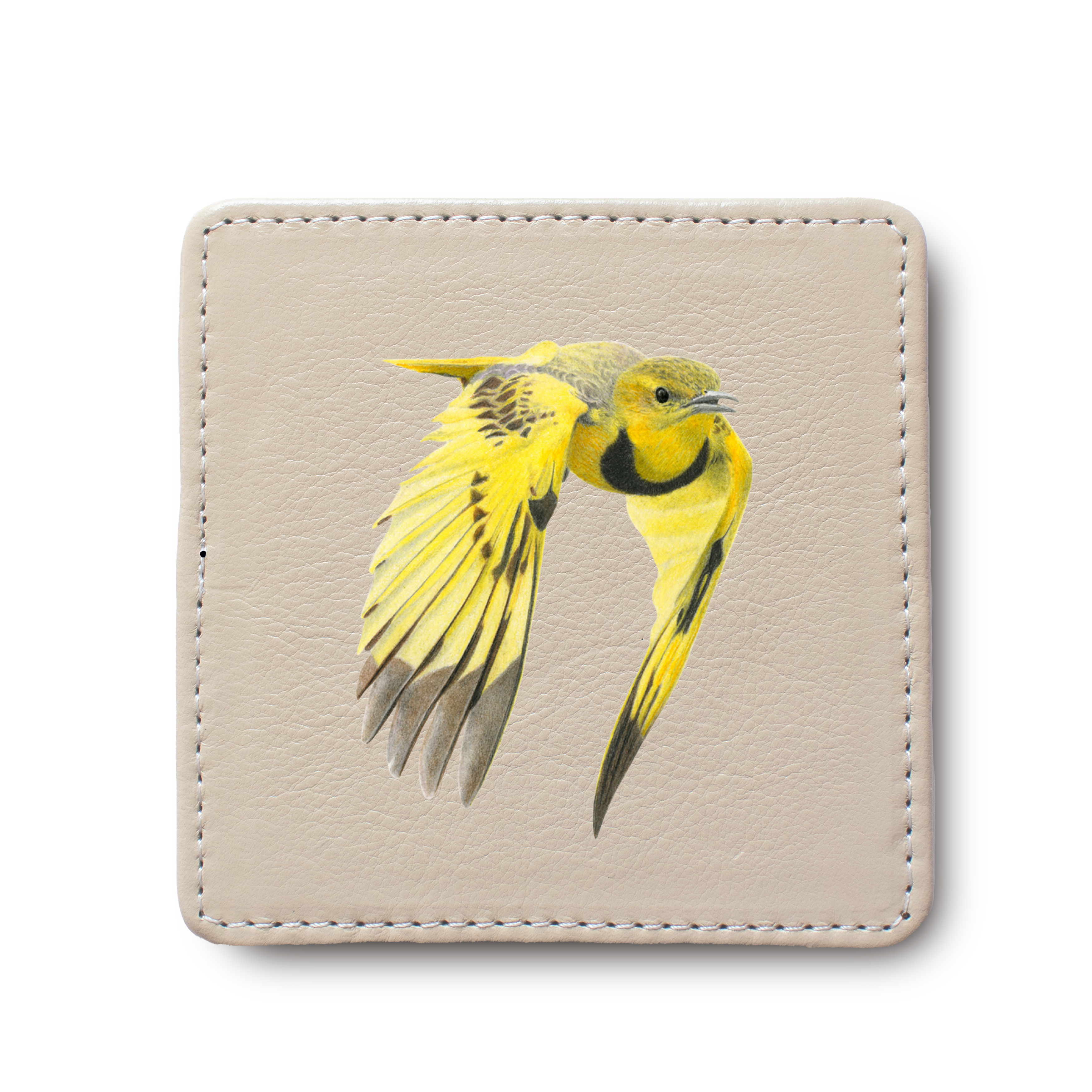 Golden Pipit Bird leather coaster by South African wildlife artist Matthew Bell