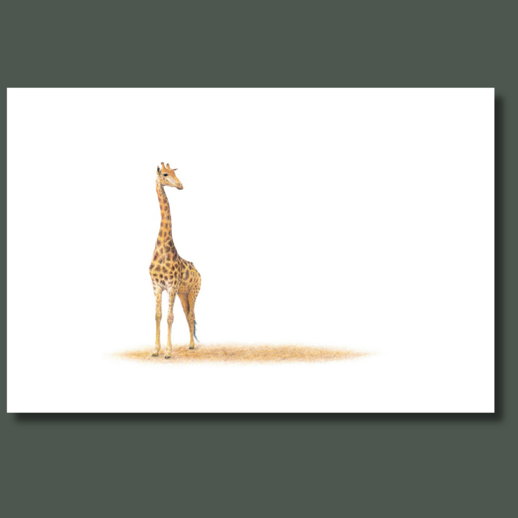 Giraffe wildlife art on canvas print artwork