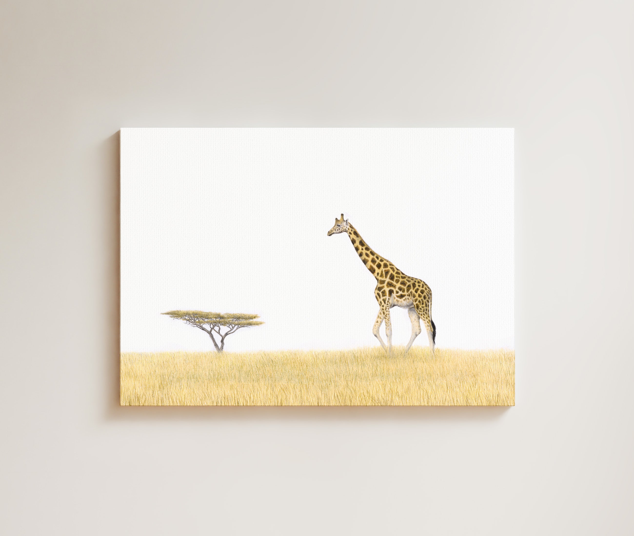 Giraffe and an Acacia Tree drawing on canvas by South African wildlife artist Matthew Bell