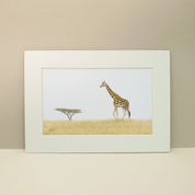 Giraffe in the savanna pencil drawing artwork