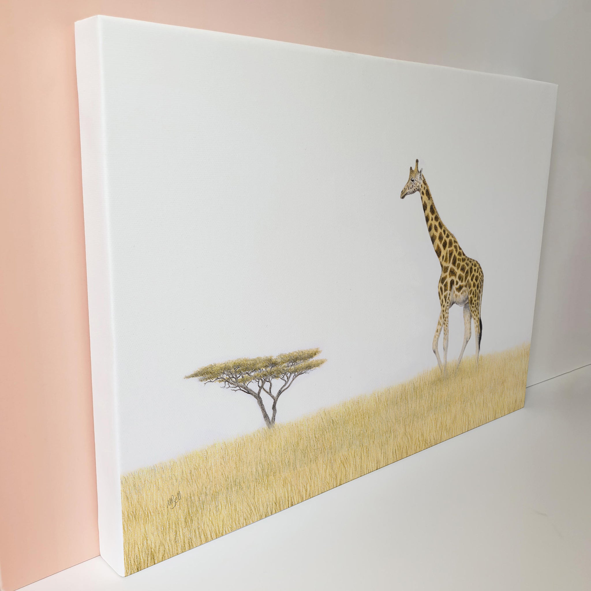 Giraffe and an Acacia Tree canvas print