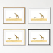 Giraffe and an Acacia Tree - GRF2
