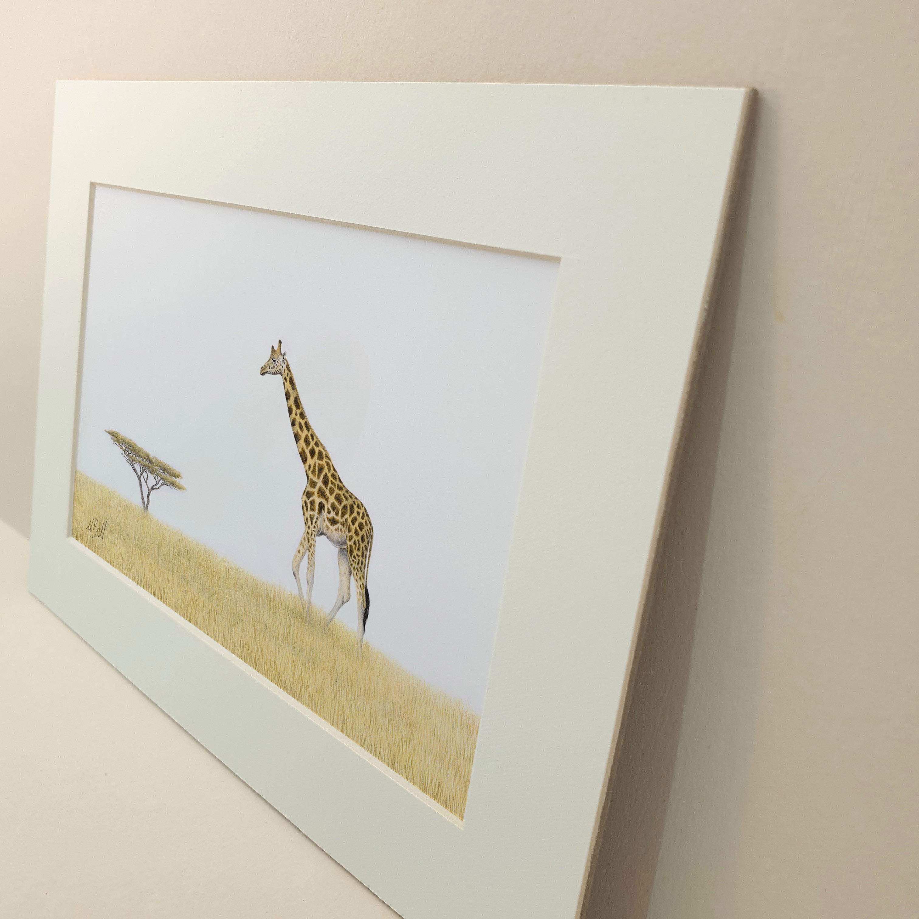 Giraffe in the savanna pencil drawing artwork