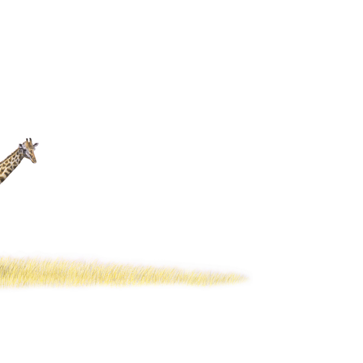 GRF3-02.png