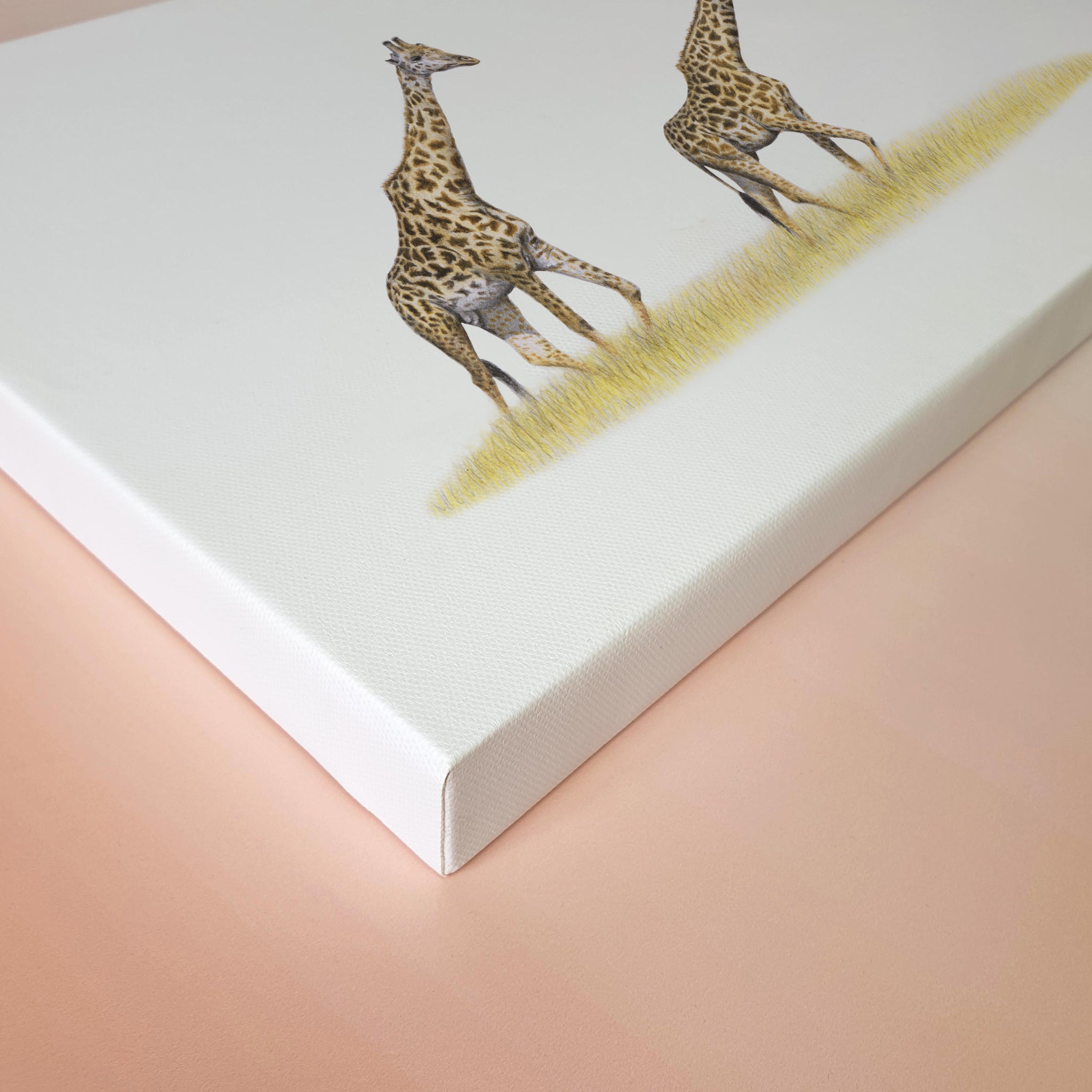 A pair of giraffes walking in the Serengeti artwork print on stretched canvas