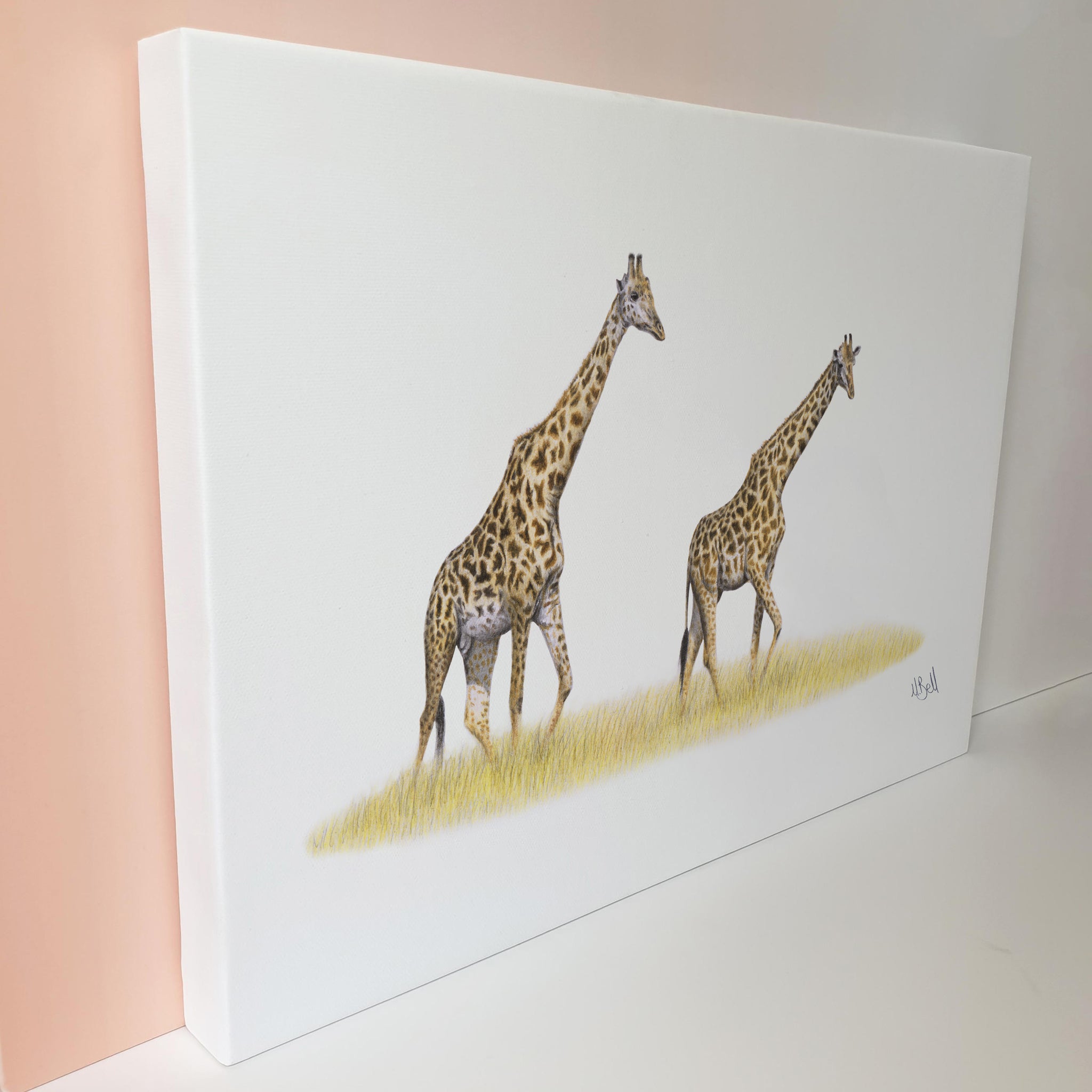 A pair of giraffes walking in the Serengeti artwork print on stretched canvas
