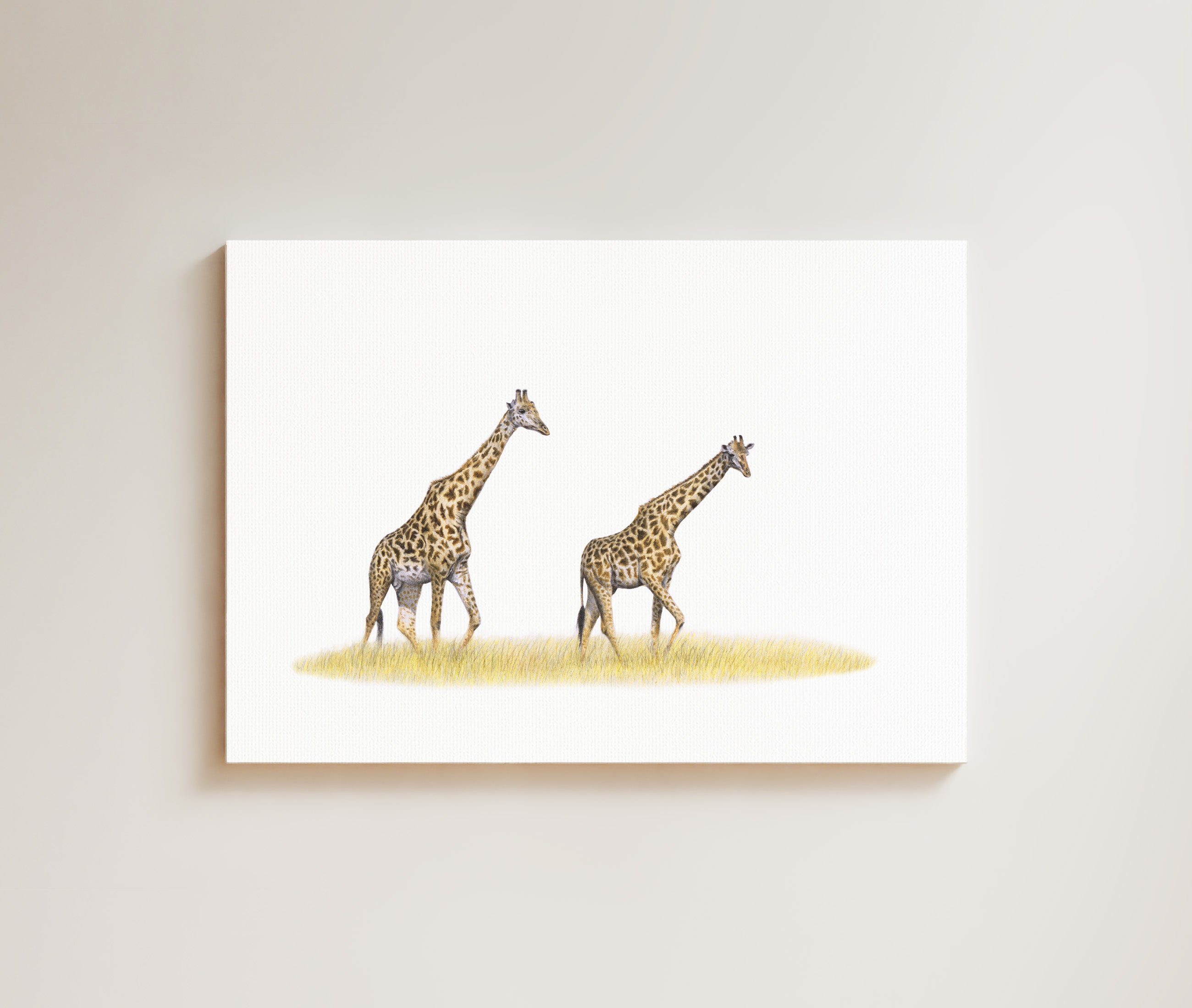 Giraffe Pair drawing on canvas by South African wildlife artist Matthew Bell